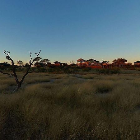 Suricate Tented Lodge Mariental Buitenkant foto