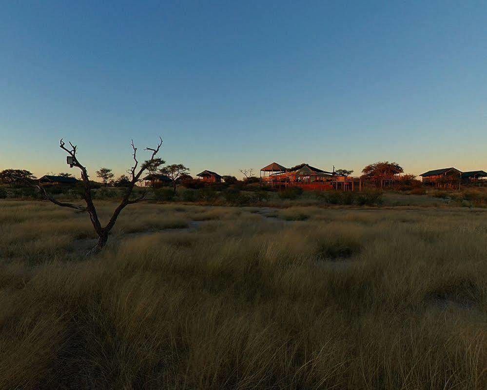 Suricate Tented Lodge Mariental Buitenkant foto