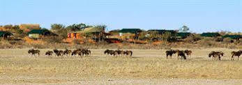 Suricate Tented Lodge Mariental Buitenkant foto